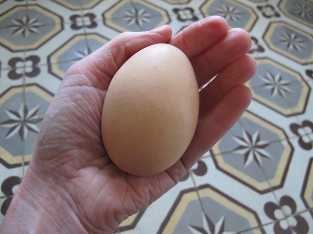egg in hand