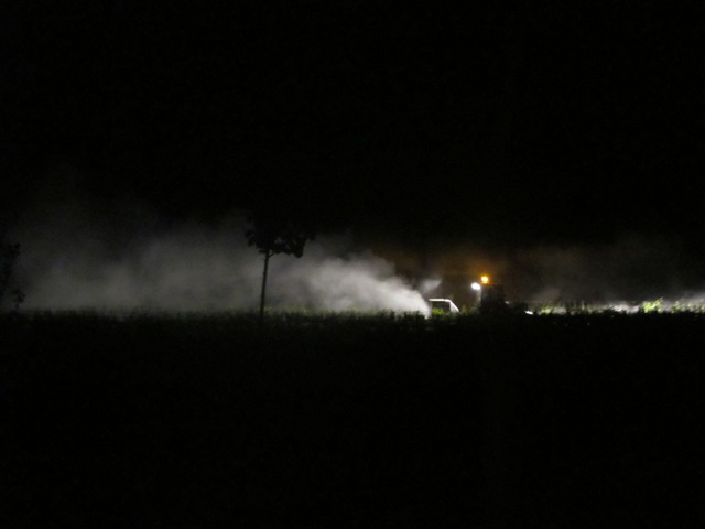 night in the vines 4