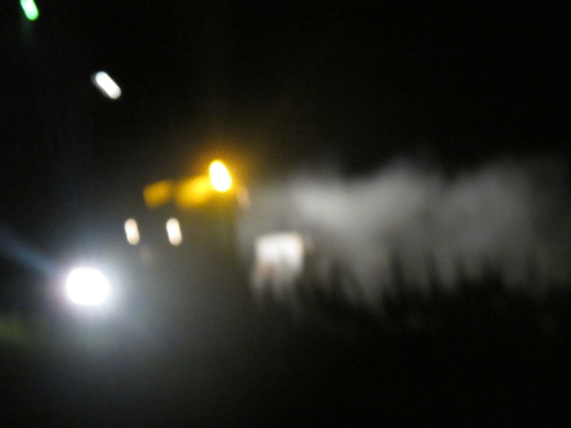 night visit in the vines 1