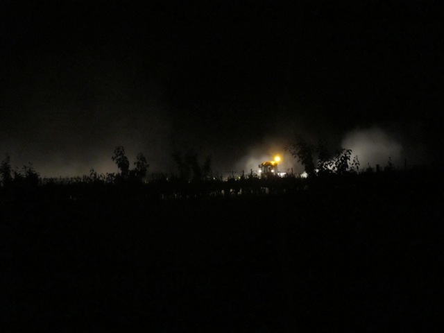 night visit in the vines 