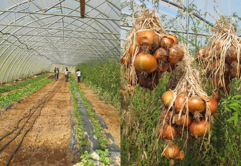 a visit to Valerie's garden