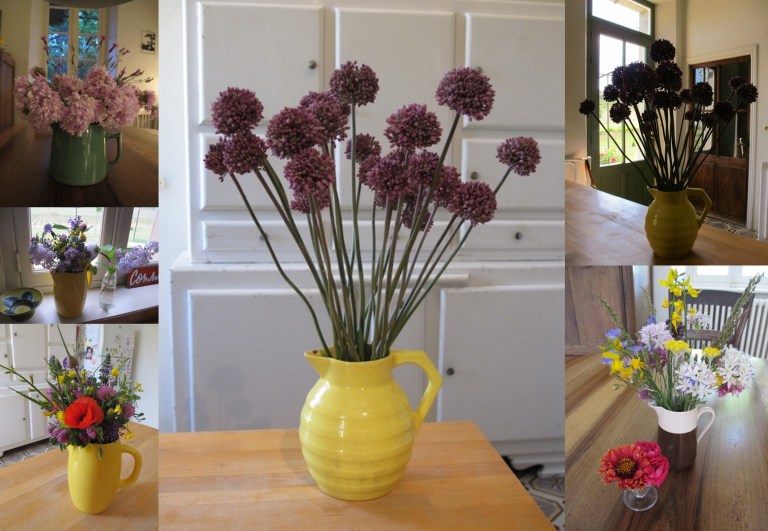 wild flowers from the Minervois