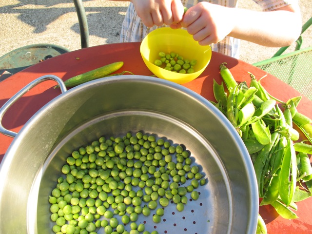 Lilas shelling peas for Mum