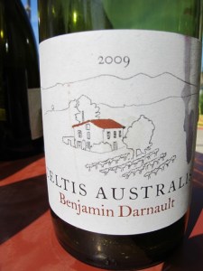 Benjamin Darnault Celtis Australis 2009