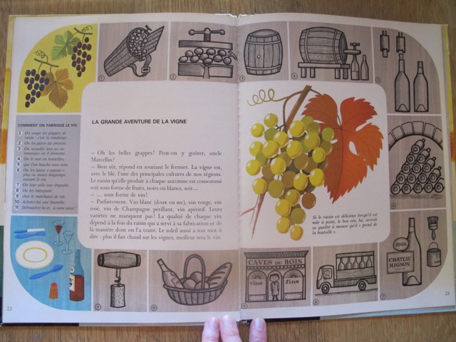 from Alain Gree's  'La Ferme'; Editions Casterman, 1965 - 'la grande aventure de la vigne' alain gree