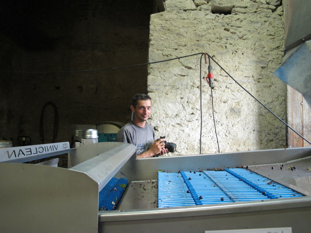 Pierre photographing his fruit