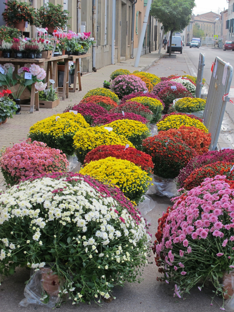 fleurs at the floriste