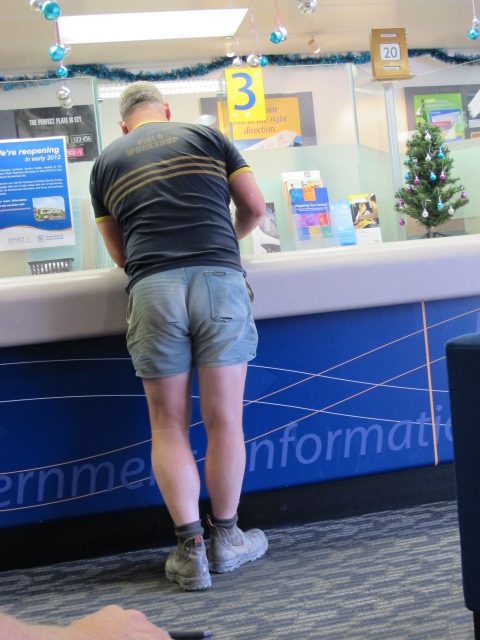 king gees king gees?