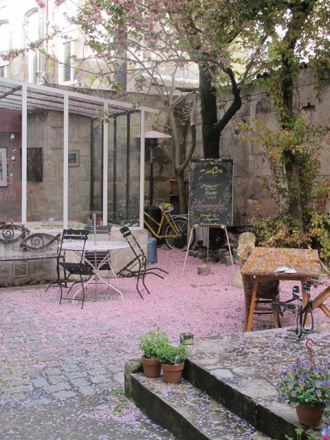 blossom in cafe courtyard