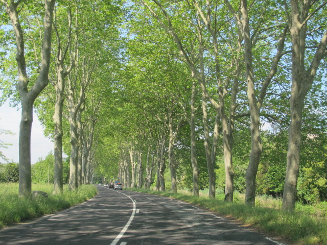 beside the canal du midi carcassonne