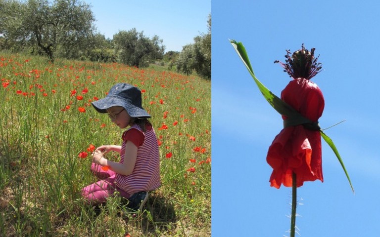 lilas in poppies and a poppy person!
