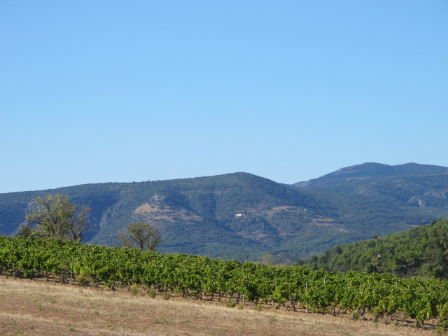 the view from Chateau Maris