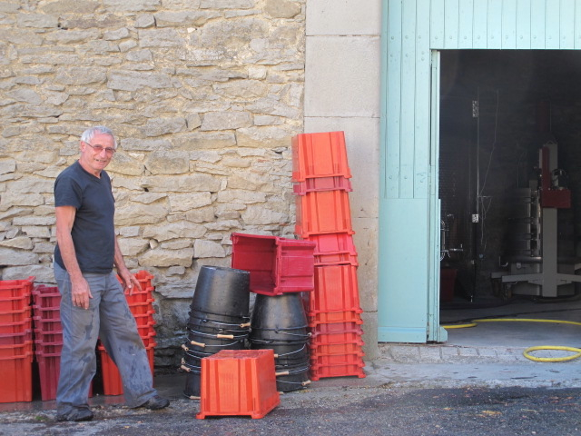 harvest in La Liviniere