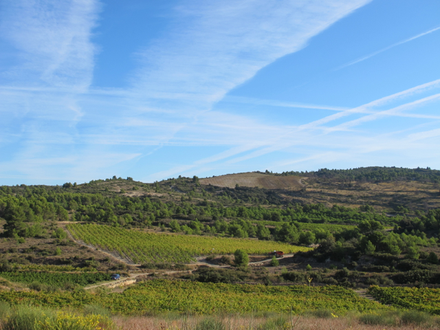 harvest in Calamiac