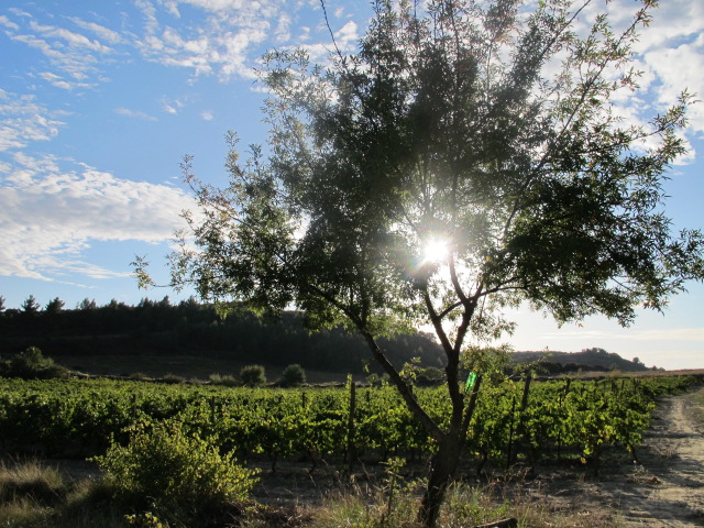 all things bright...