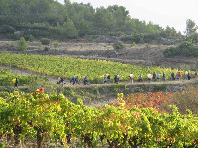 vintage in the village