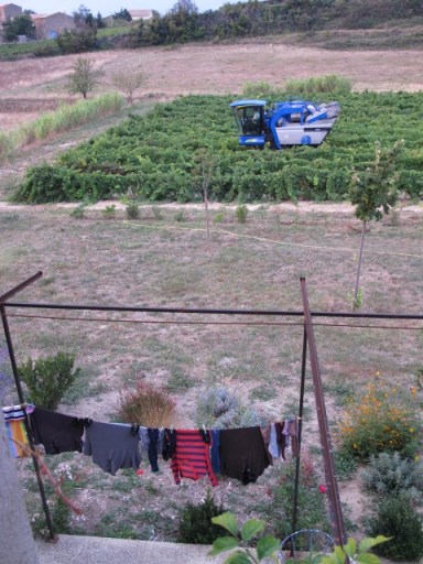 harvester at home with clothes line