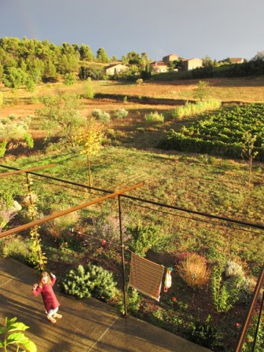 lilas on the terrace