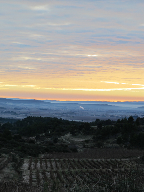 the drive to school...