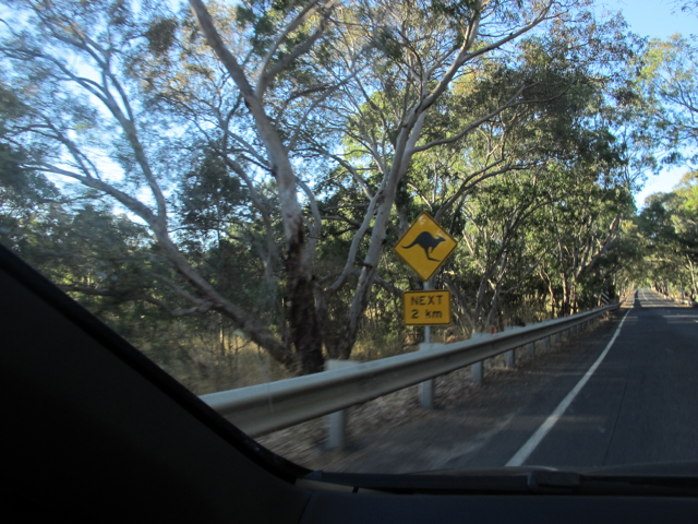 yeah, yeah, a kangaroon crossing.  yawn yawn!
