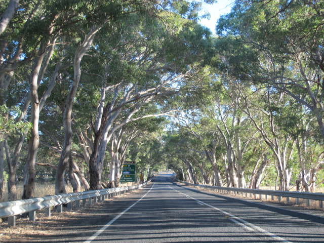 heading to some of my favourite beaches in South Australia