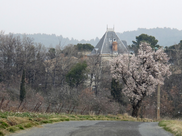 It's starting to snow, approaching Chateau Violet - a beautiful old wine property near us