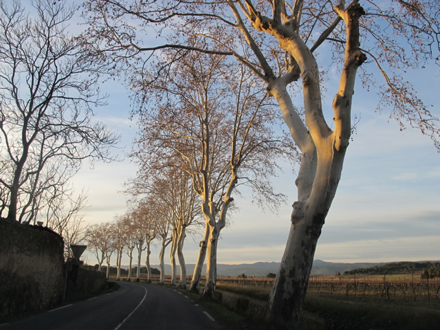 my favourite view coming out of Olonzac