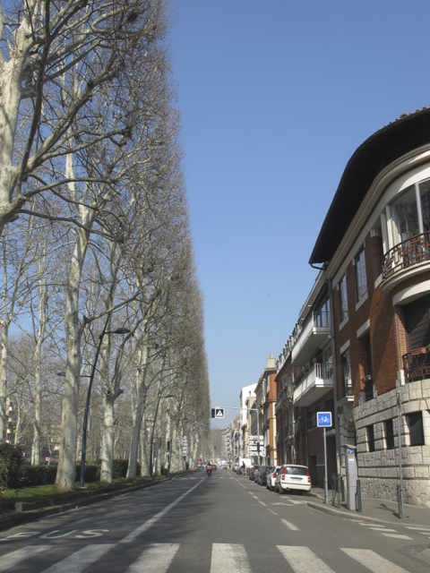 Short, back and sides in lovely Toulouse