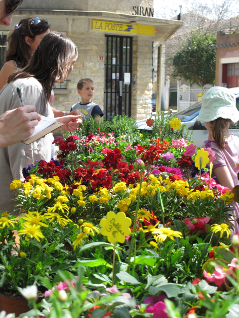 our school held it's first of two 'Marche aux Fleurs'