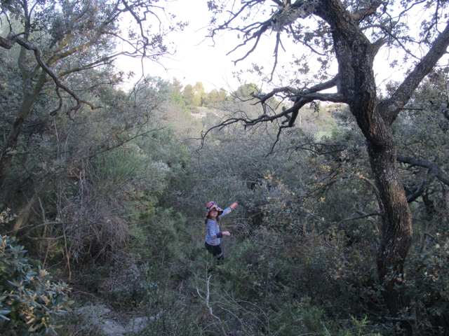 almost a picnic at hanging rock!