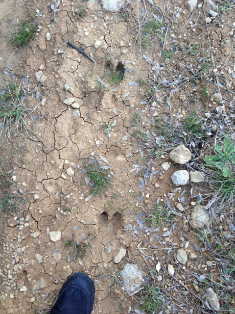 following in the footsteps