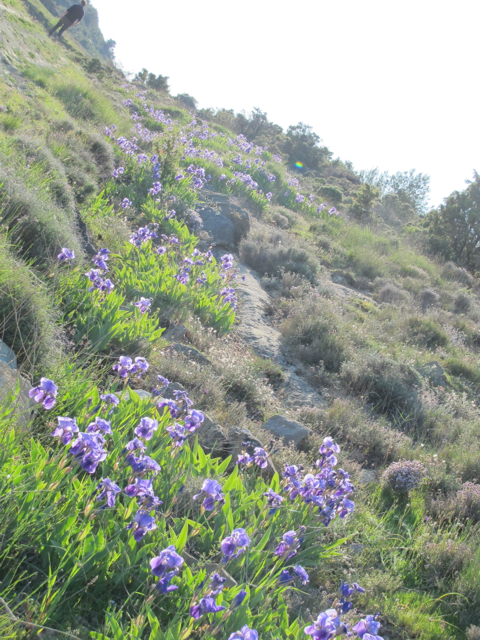 and then a little evening promenade...