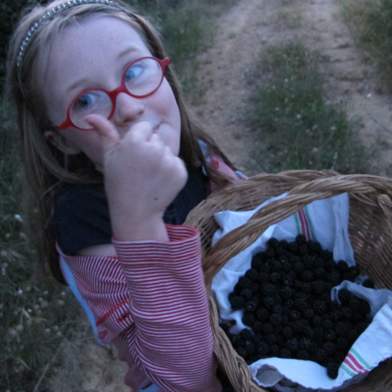 berry picking season 2
