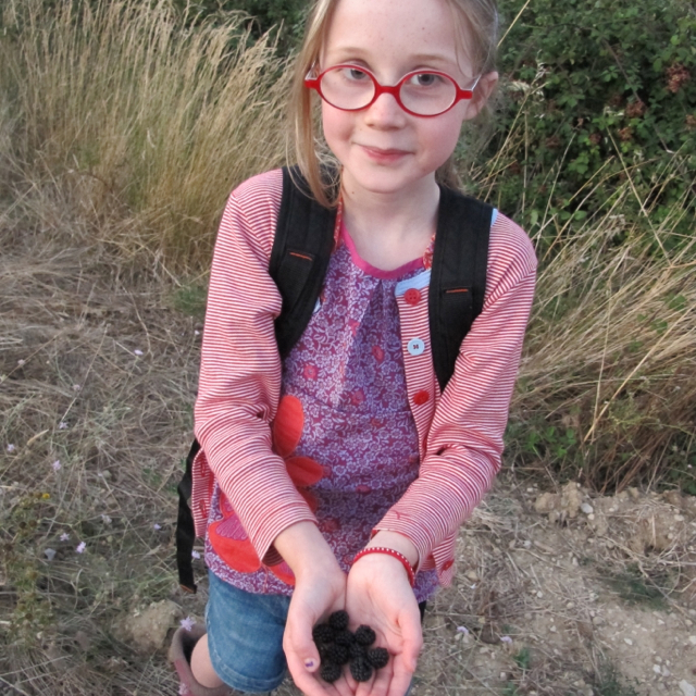 Lilas and her pickings ...not quite the ripe grapes papa is hoping for, but they taste just as good
