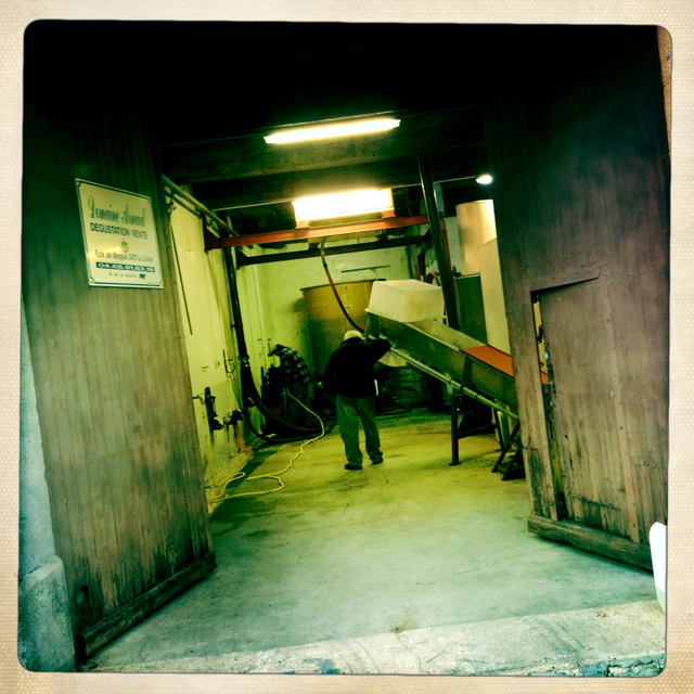 the neighbours opposite