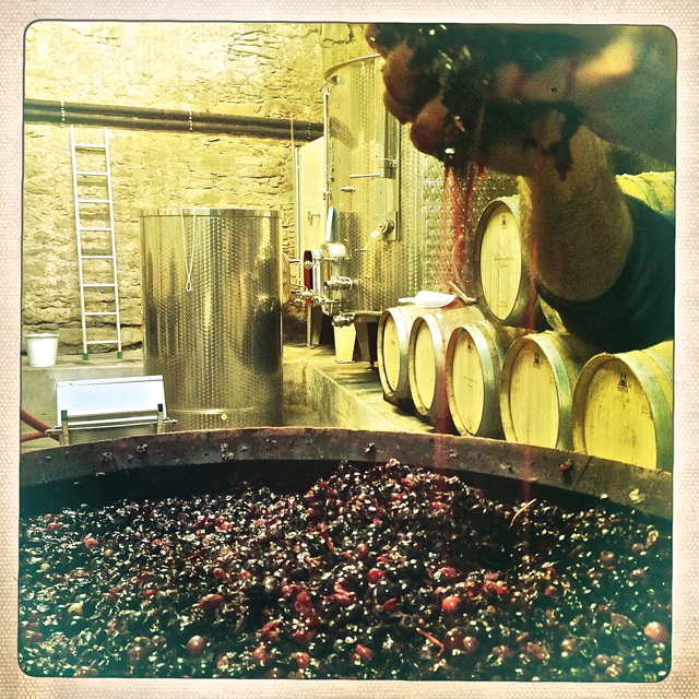 squeeze those babies